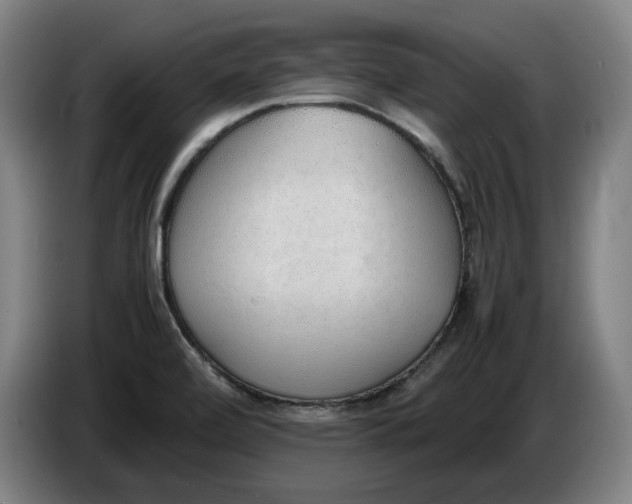 X0000086331472200704202032