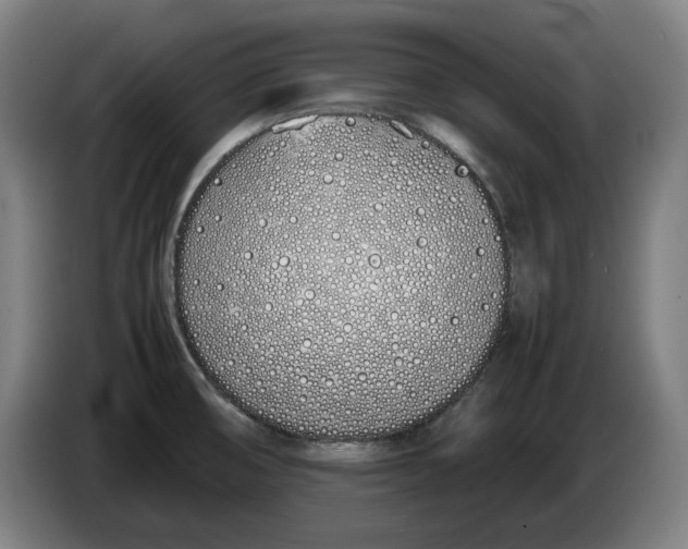 X0000086331474200704202032