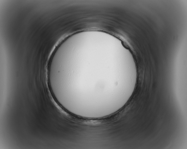 X0000086331476200704202032