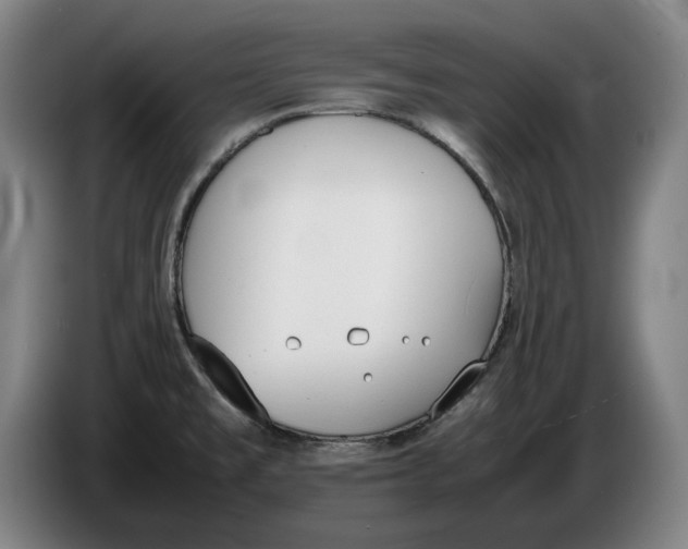 X0000086331477200704202032