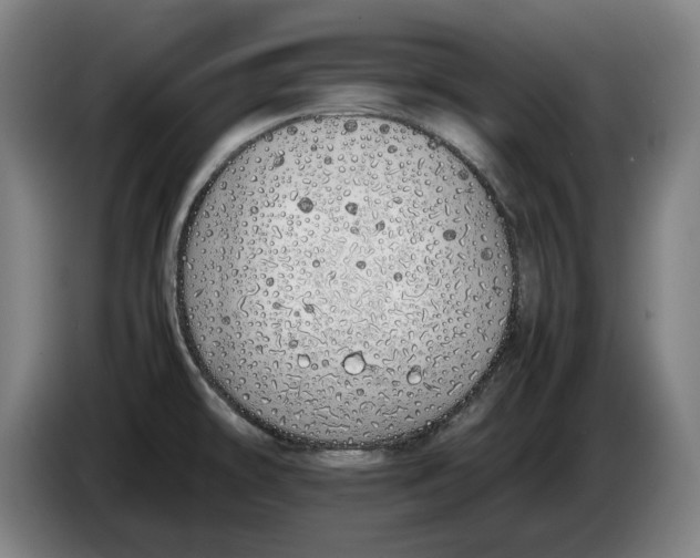 X0000086331478200704202032