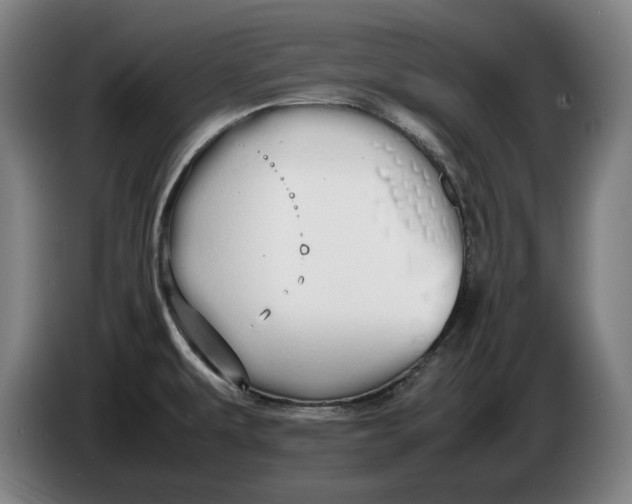 X0000086331479200704202032