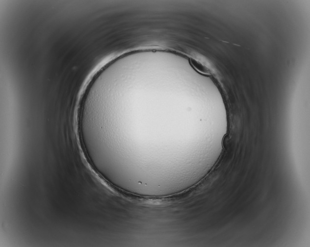 X0000086331480200704202032