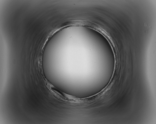 X0000086331481200704202032