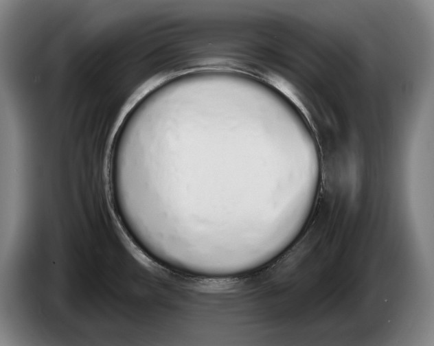 X0000086331482200704202032