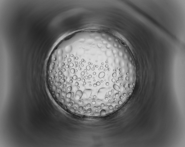 X0000086331483200704202032