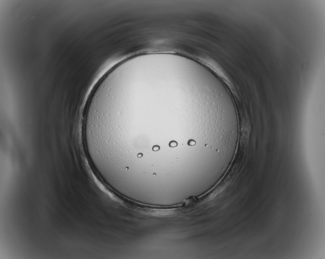 X0000086331484200704202032