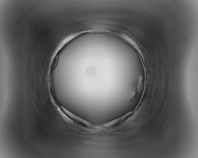 X0000086331485200704202032