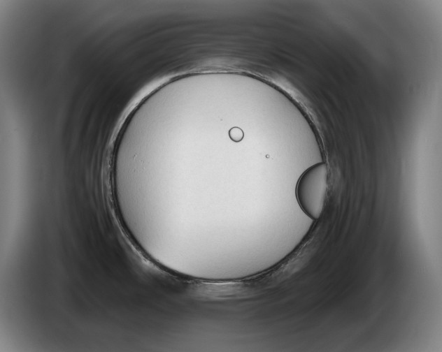 X0000086331486200704202032