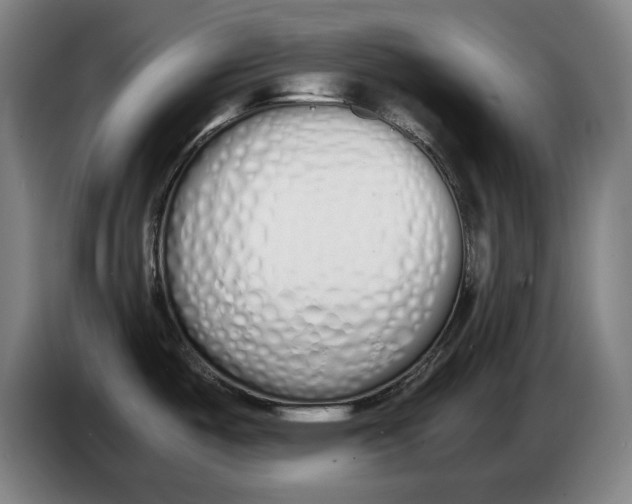 X0000086331487200704202031