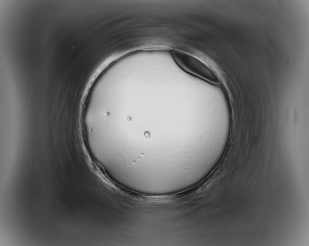 X0000086331488200704202031