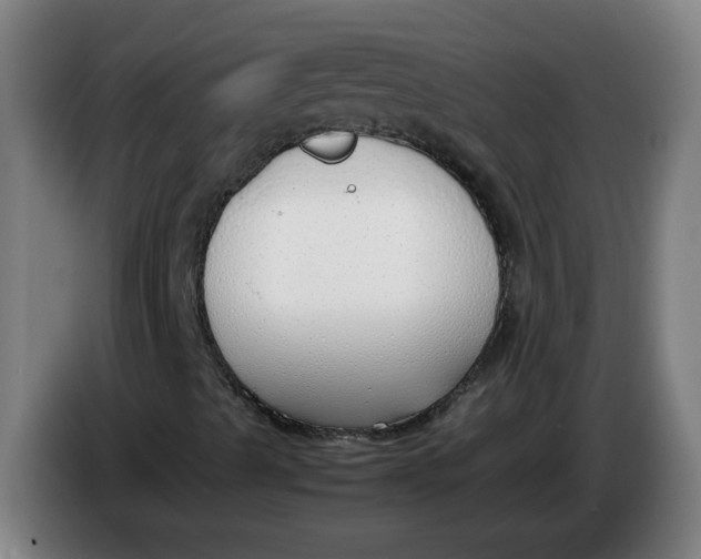 X0000086331489200704202031