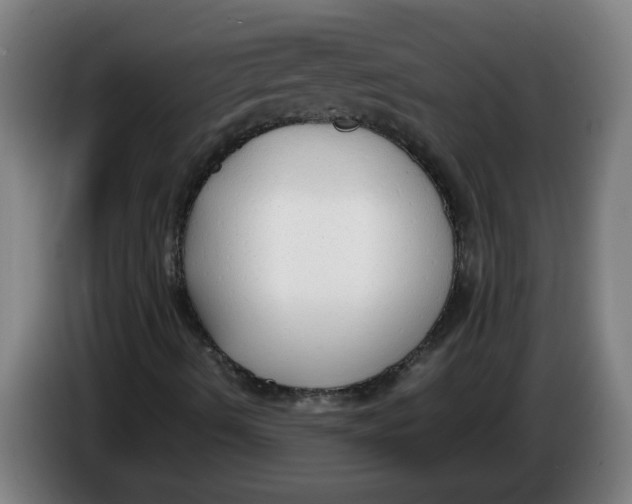 X0000086331490200704202031