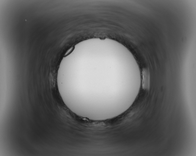 X0000086331491200704202031