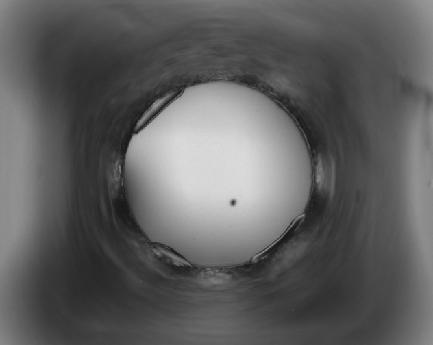 X0000086331492200704202031