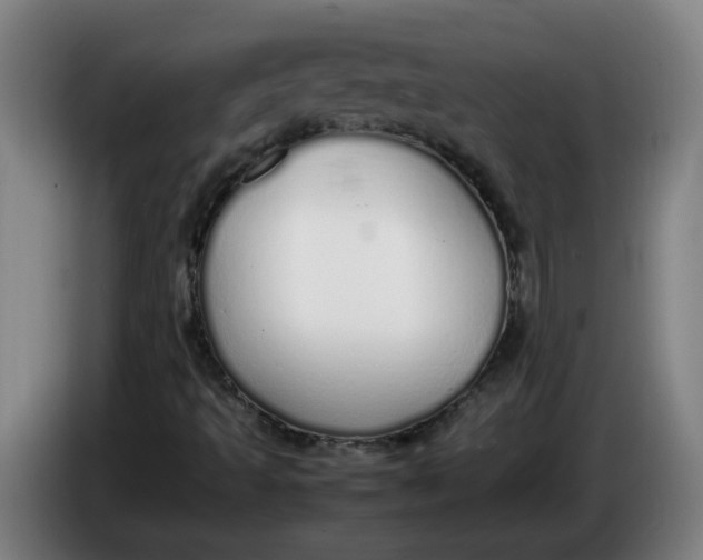 X0000086331493200704202031