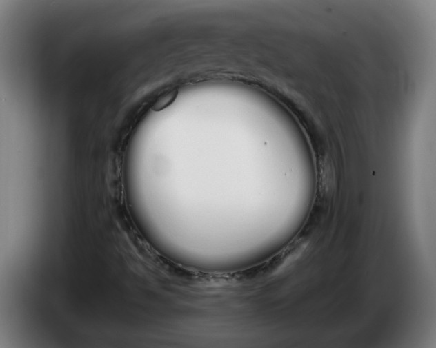 X0000086331494200704202031