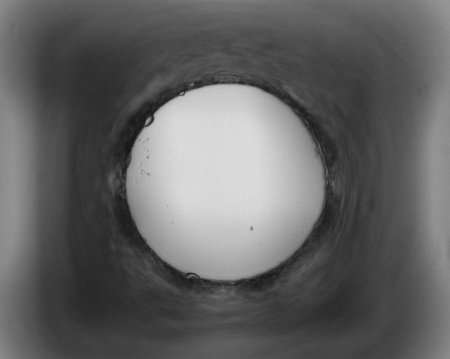 X0000086331495200704202031