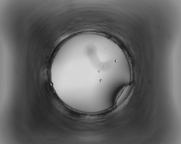 X0000086331497200704202031