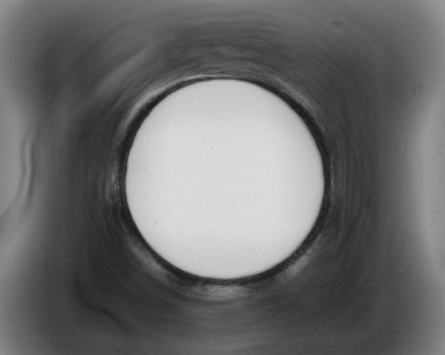 X0000086331498200704202031