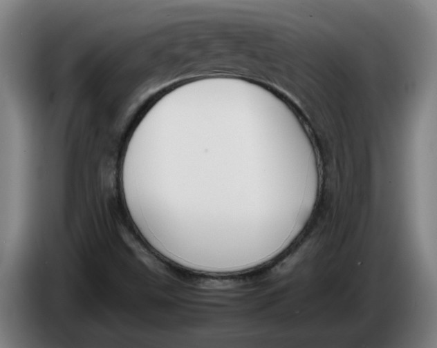 X0000086331499200704202031