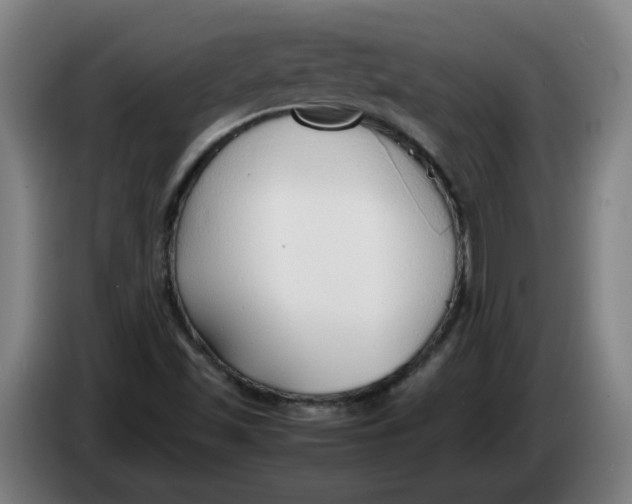 X0000086331501200704202031