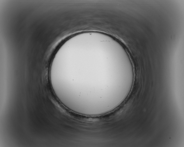 X0000086331503200704202031