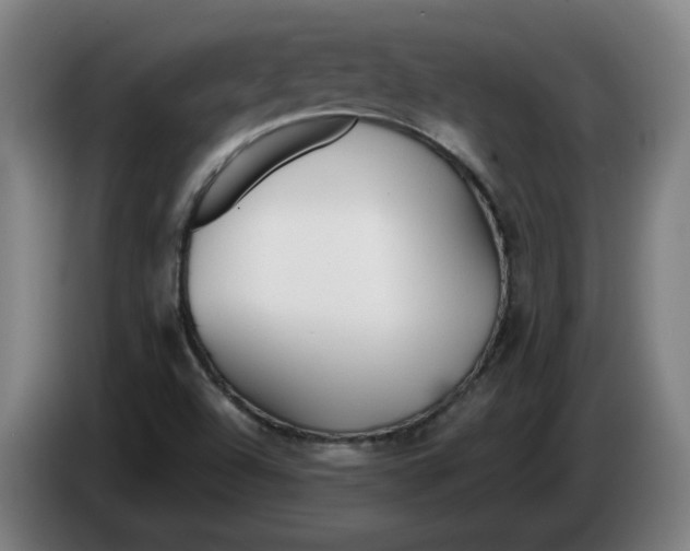 X0000086331504200704202031