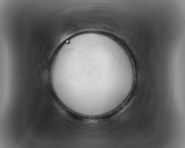 X0000086331505200704202031