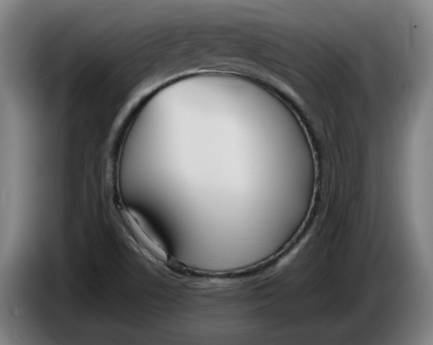 X0000086331506200704202031