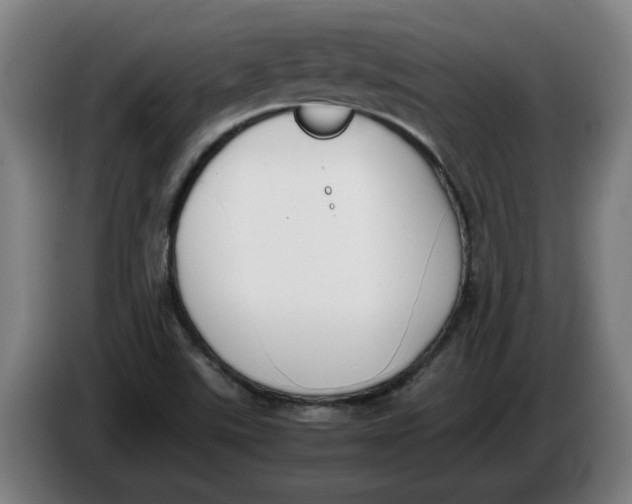 X0000086331507200704202031