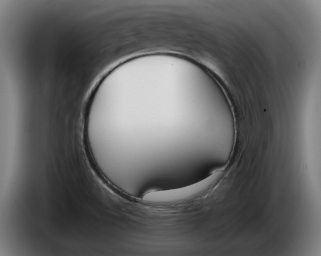 X0000086331508200704202031