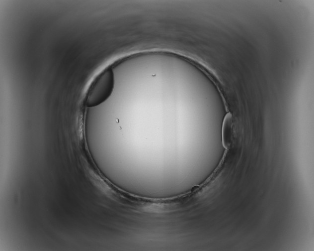 X0000086331510200704202031