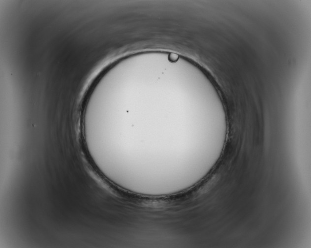 X0000086331511200704202031