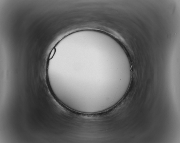 X0000086331512200704202031