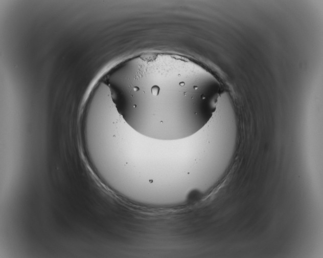 X0000086331514200704202031