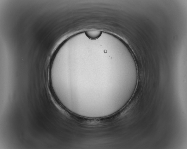 X0000086331515200704202031