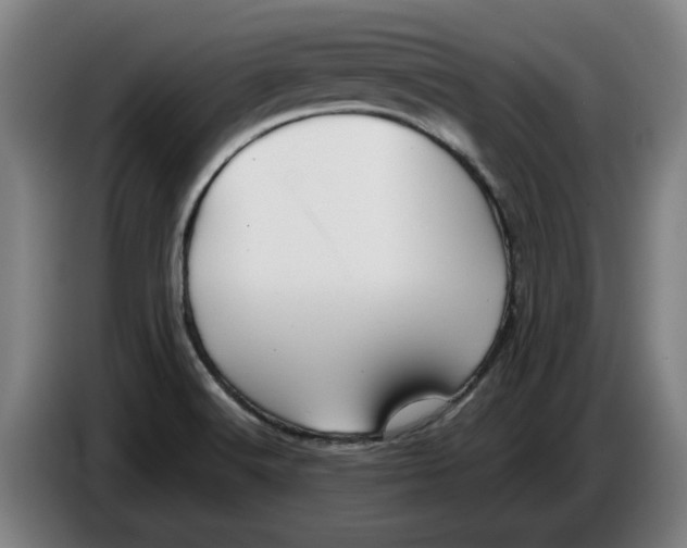 X0000086331516200704202031