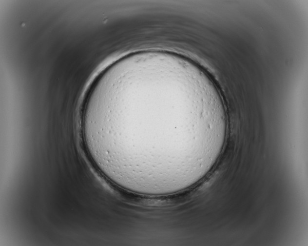 X0000086331517200704202031