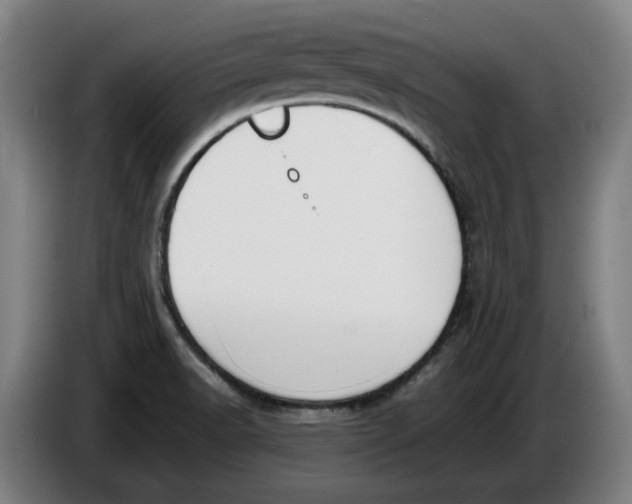 X0000086331518200704202031