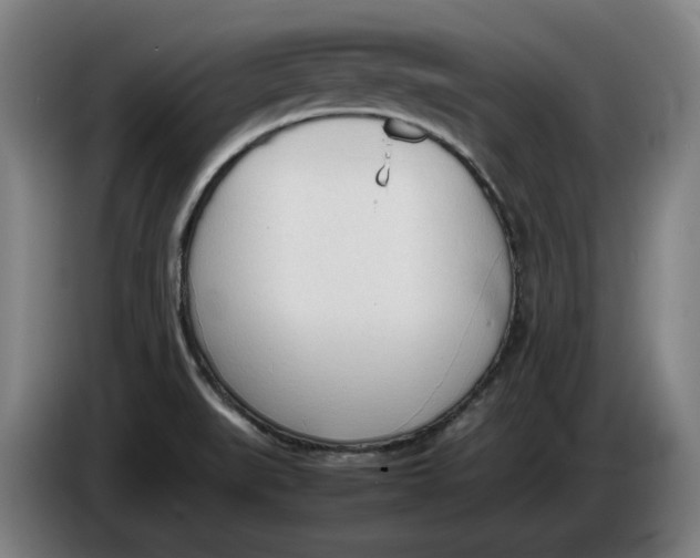 X0000086331519200704202031