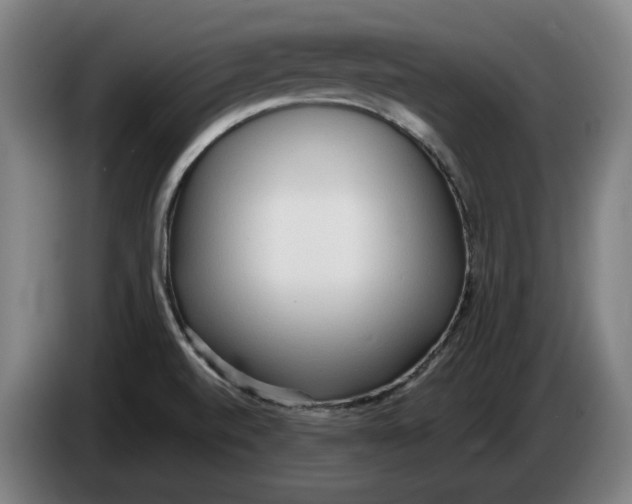 X0000086331520200704202031