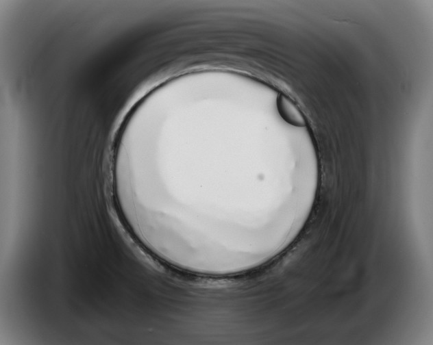 X0000086331522200704202031