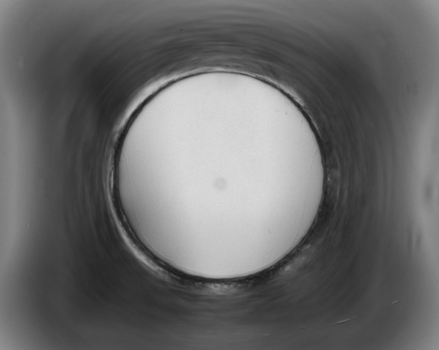 X0000086331523200704202031