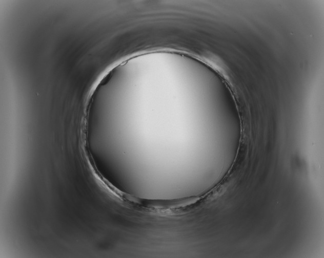 X0000086331524200704202031