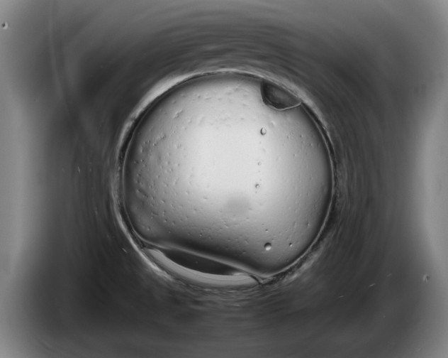 X0000086331525200704202031