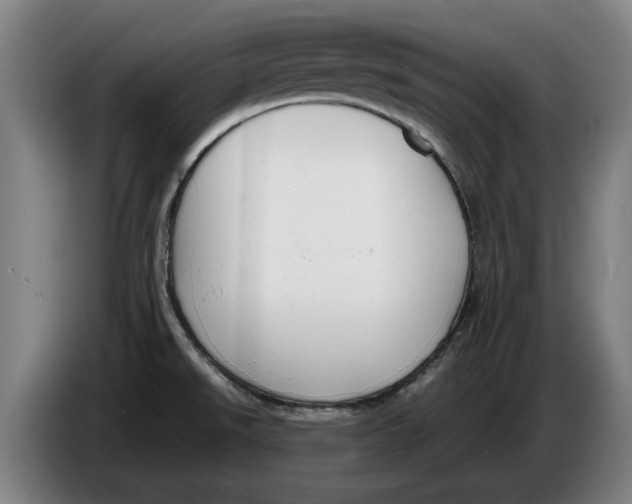 X0000086331526200704202031