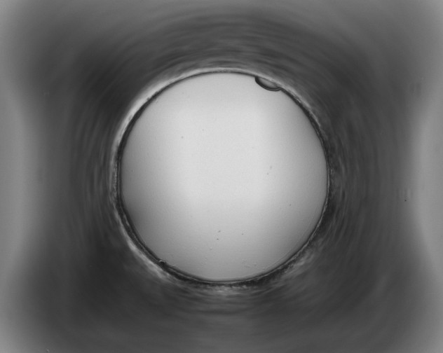 X0000086331527200704202031