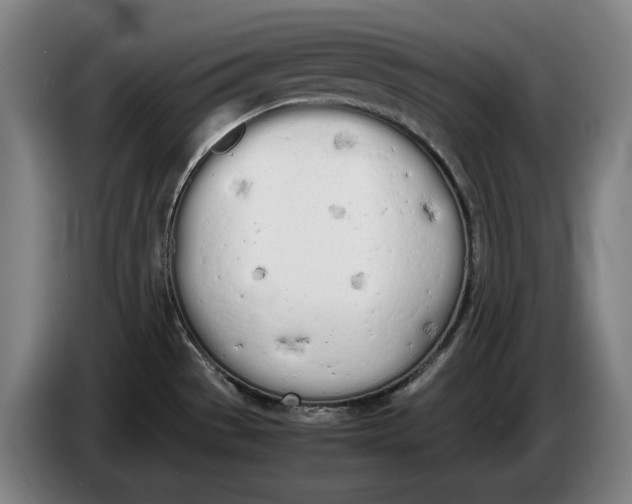 X0000086331529200704202031