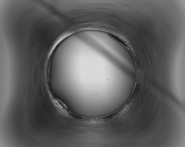 X0000086331530200704202031